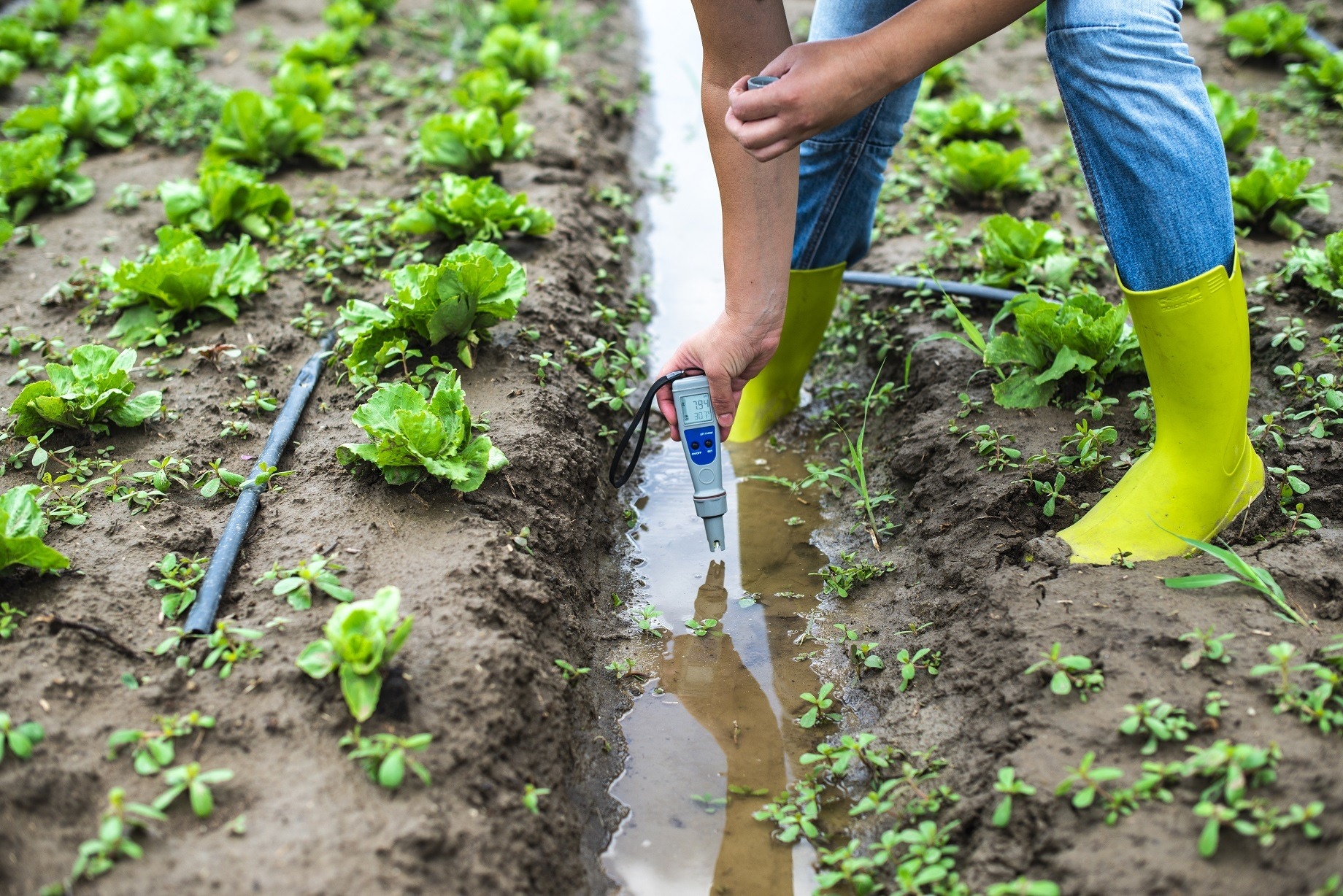 Agrotech / Agriculture