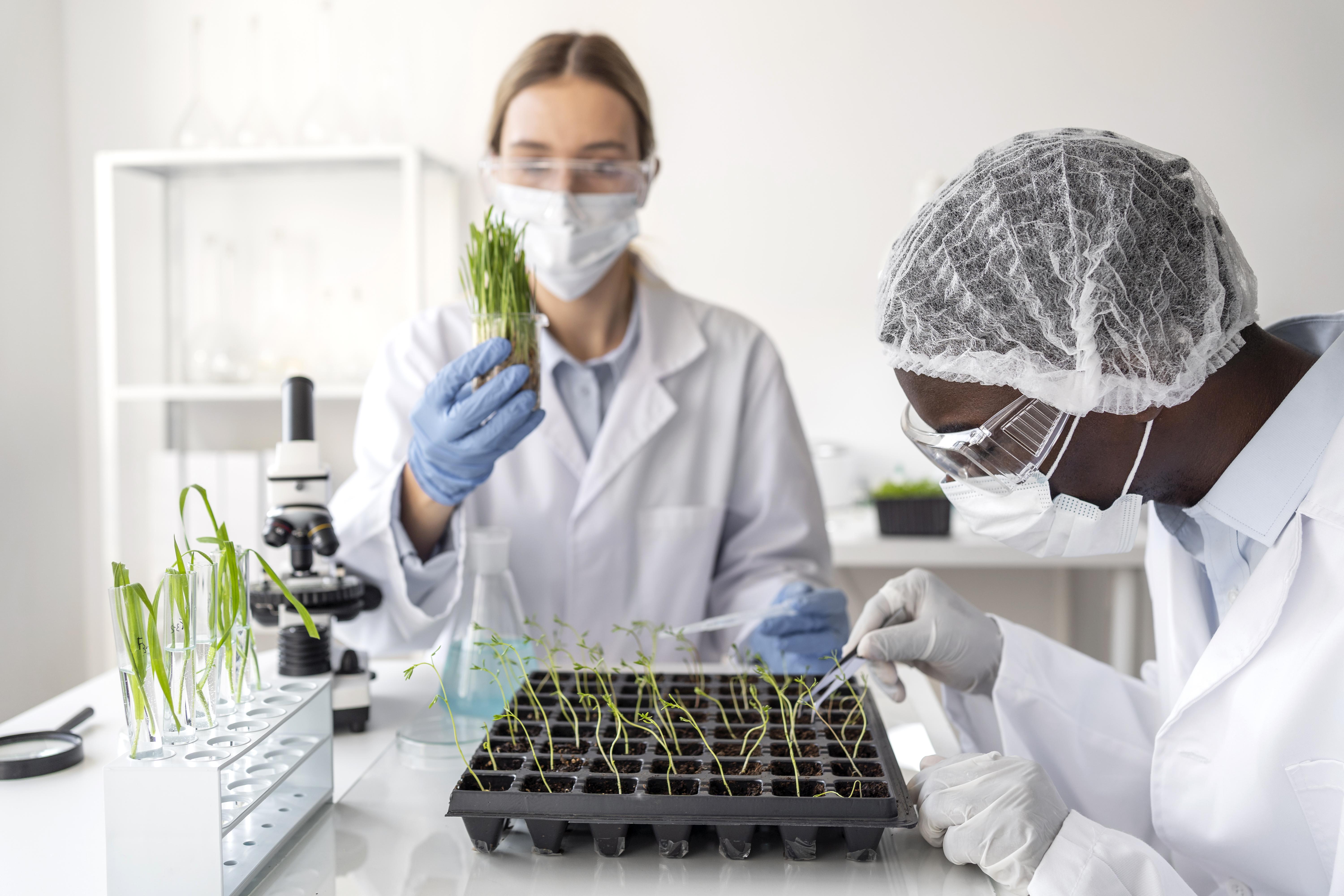 Biotech / Bio Chemical